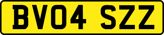 BV04SZZ
