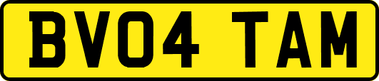 BV04TAM