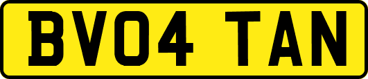 BV04TAN