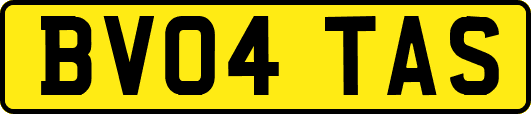 BV04TAS