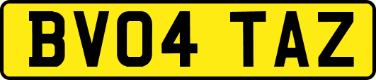 BV04TAZ