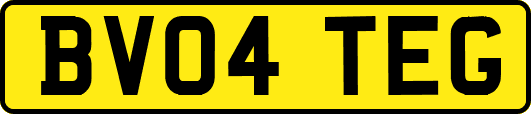 BV04TEG
