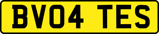 BV04TES