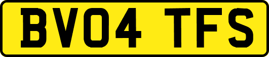 BV04TFS