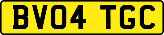 BV04TGC