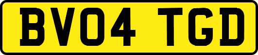 BV04TGD