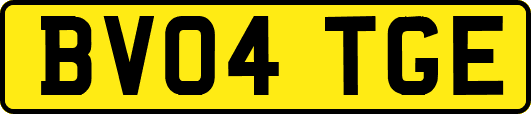BV04TGE