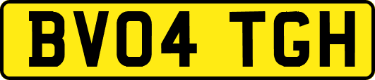 BV04TGH
