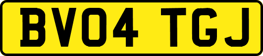BV04TGJ