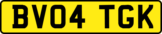 BV04TGK