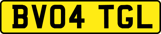 BV04TGL