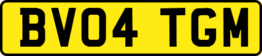 BV04TGM