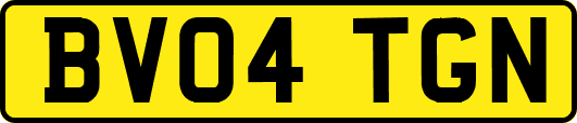 BV04TGN
