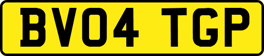 BV04TGP