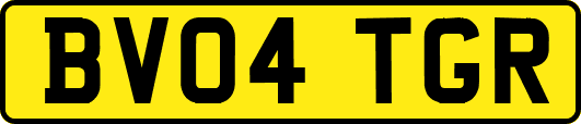 BV04TGR