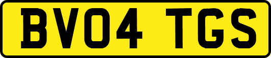 BV04TGS