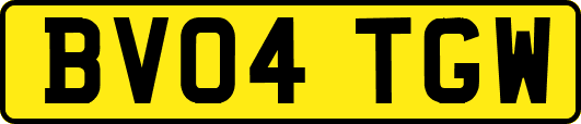 BV04TGW