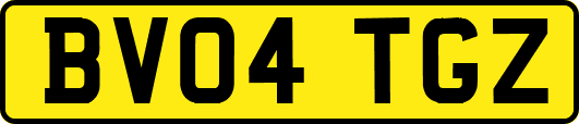 BV04TGZ