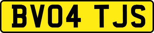 BV04TJS