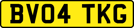 BV04TKG
