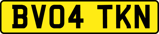 BV04TKN