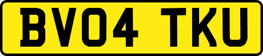 BV04TKU