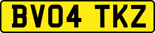 BV04TKZ