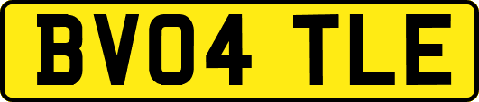 BV04TLE