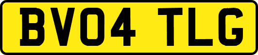 BV04TLG