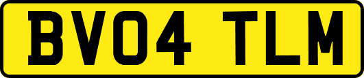 BV04TLM