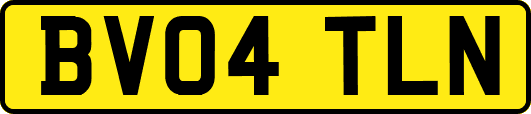 BV04TLN