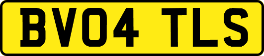BV04TLS