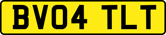 BV04TLT