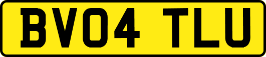 BV04TLU