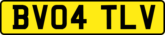 BV04TLV