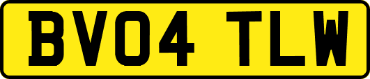 BV04TLW