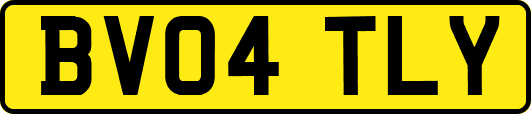 BV04TLY