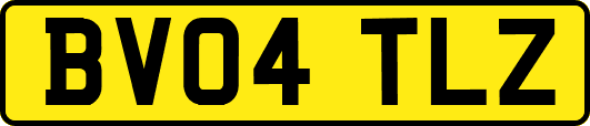 BV04TLZ