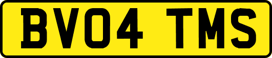BV04TMS