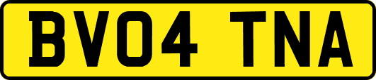 BV04TNA