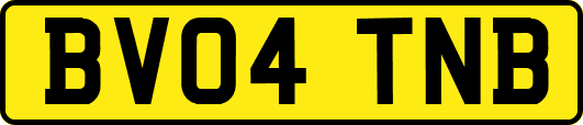BV04TNB