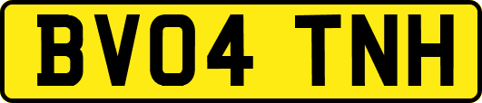 BV04TNH