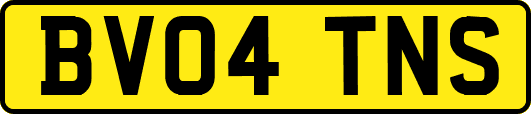 BV04TNS