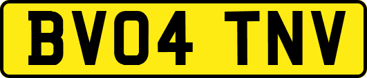 BV04TNV
