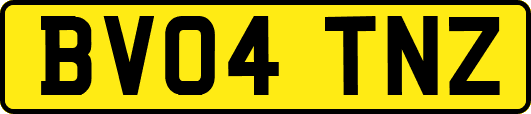 BV04TNZ