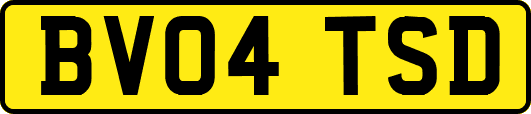 BV04TSD