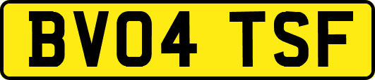 BV04TSF