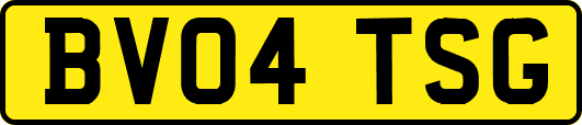BV04TSG