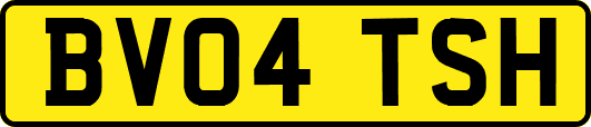 BV04TSH