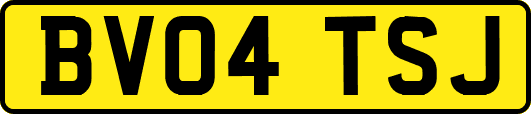 BV04TSJ